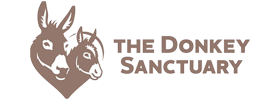 The Donkey Sanctuary Ethiopia
